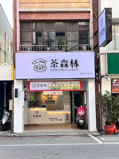 貓頭鷹茶森林 桃園中正店 店面照